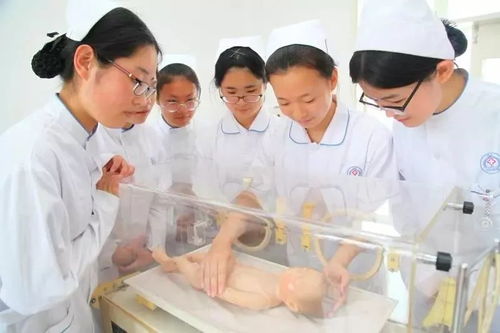 威海市衛(wèi)生學(xué)校 白衣天使的搖籃，中醫(yī)養(yǎng)生保健服務(wù)專業(yè)招生啟動(dòng)
