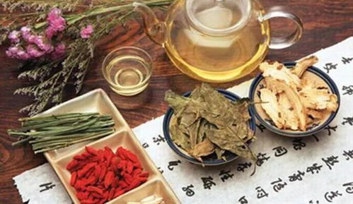 常見腎臟疾病的養(yǎng)生保健——尿路感染的養(yǎng)生保健
